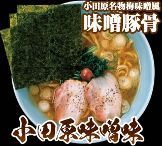 小田原味噌味