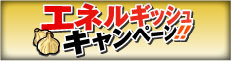 エネルギッシュキャンペーン!!