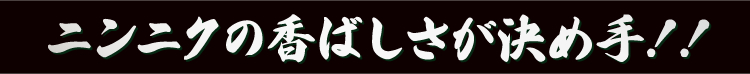 ニンニクの香ばしさが決め手!!