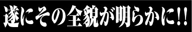 2009年度も驚きの連続受賞!!